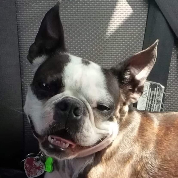 Meet your Posher, Danielle - Picture 1 of 1